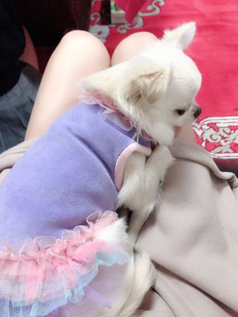 今村麻莉愛「天使がまりあの足の上に」
