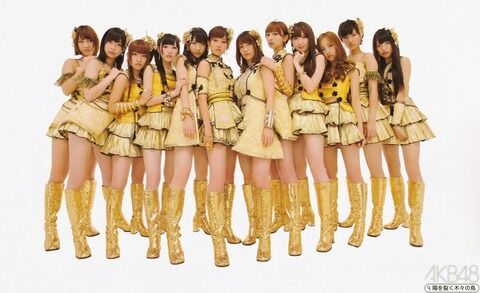【AKB48】なんで人気あったのかよく分からない黄金期メンバー