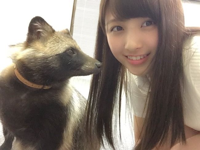【速報】AKB48大和田南那がたぬきとツーショット！！【なーにゃ】