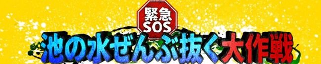 【文春砲】大家志津香レギュラーの「池の水ぜんぶ抜く」でボラ3000匹大量死！！！【AKB48しーちゃん】