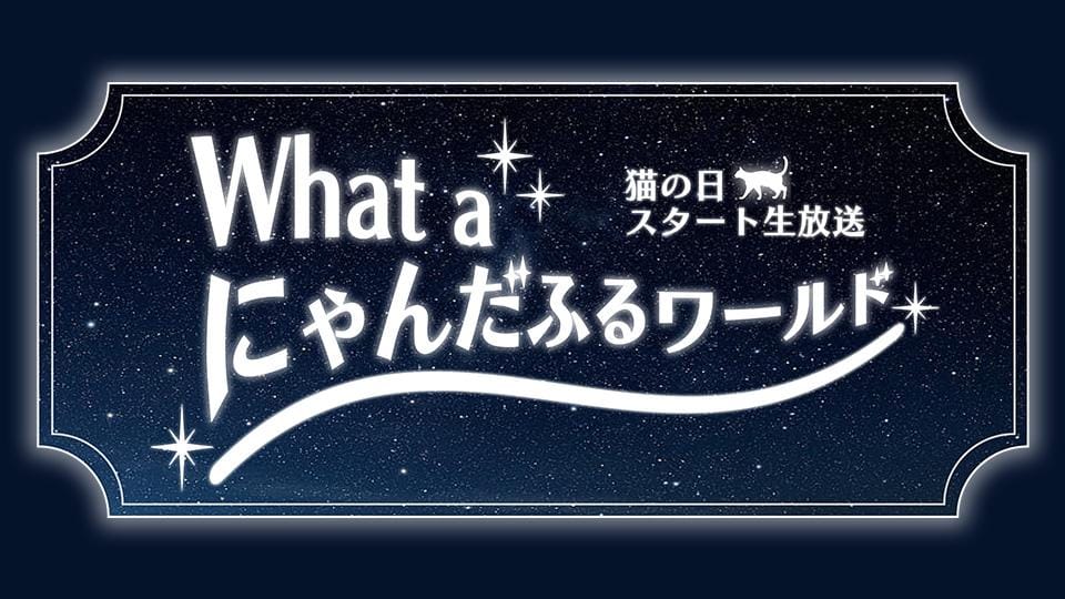 横山由依が「What a にゃんだふるワールド」に出演！猫の日スタート生放送！【2023.2.21 23:59〜 BSテレ東】