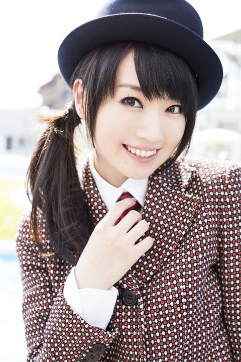 【悲報】水樹奈々ファン、やらかすwwwwwさすがにアカンわwwww