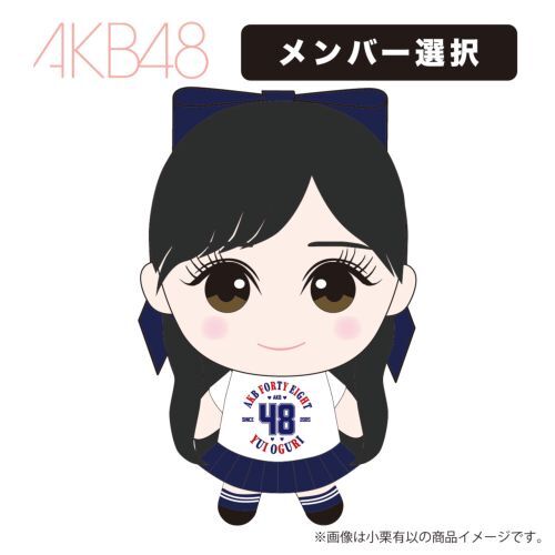 【ぬい活】AKB48も最近流行りのやつキタ━━━(ﾟ∀ﾟ)━━━！！【ぬいぐるみキーホルダー】