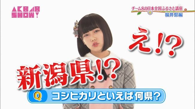 【AKB48SHOW!】チーム8長久玲奈「コシヒカリ発祥の地は福井県」【AKB48くれにゃん】