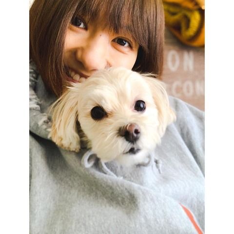 宮澤佐江「多くは語りませんが、私は毎日楽しく元気に生活をしています」