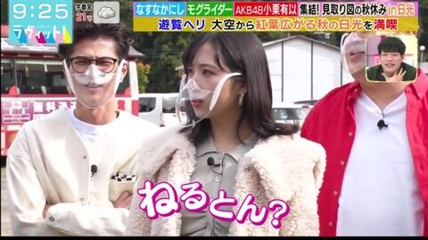 【朗報】 ゆいゆい　ねるとん を知らないwwwwwwwwww