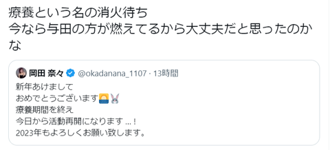 【AKB48】岡田奈々さん活動再開