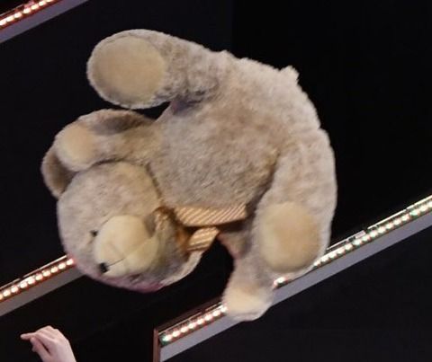 【画像アリ】HKT劇場で投げ飛ばされまくったクマ「ことしもいっぱいなげられました。 」