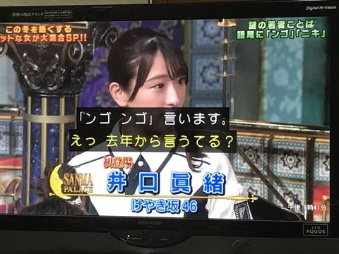 【炎上】　さんま御殿「『ンゴ』『ニキ』　謎の若者言葉」　AKB「ンゴンゴ言います」　批判殺到ｗｗｗｗｗｗｗｗｗｗｗｗｗｗ