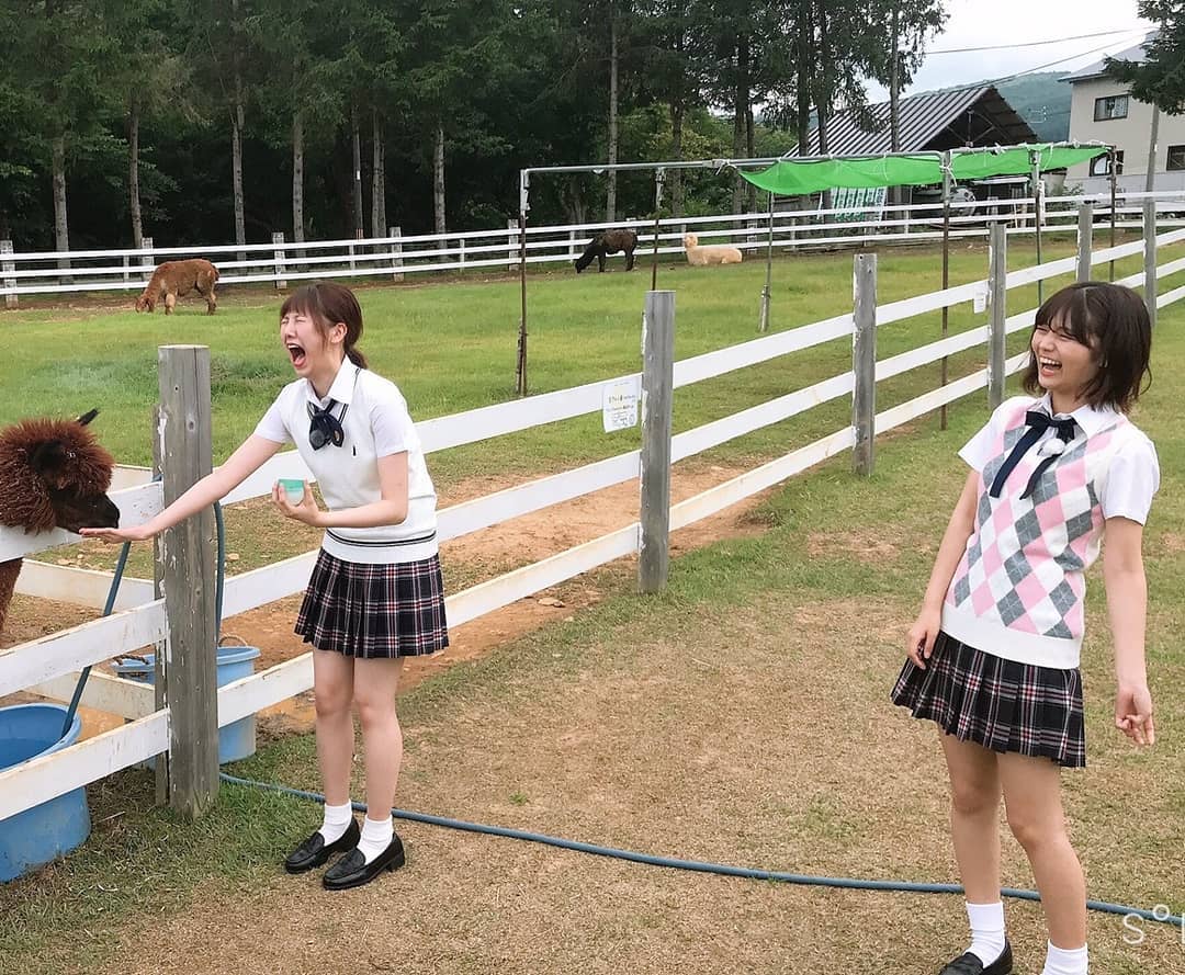 「ぎふサテ！ / SKE48の岐阜県だって地元ですっ！」牧歌の里で可愛い高原の動物たちとふれあい【ぎふチャン】