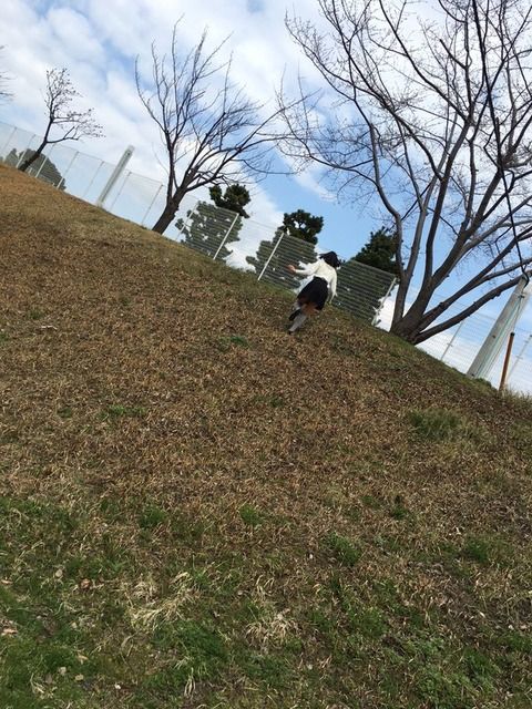 野澤玲奈の選挙に対する想いが悲しい・・・