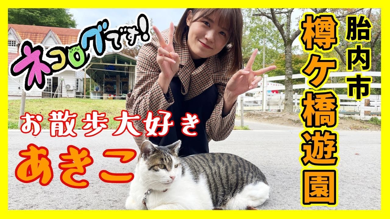 【動画】NGT48 安藤千伽奈「ネコログです！」#6：お散歩大好きあきこ【樽ヶ橋遊園】