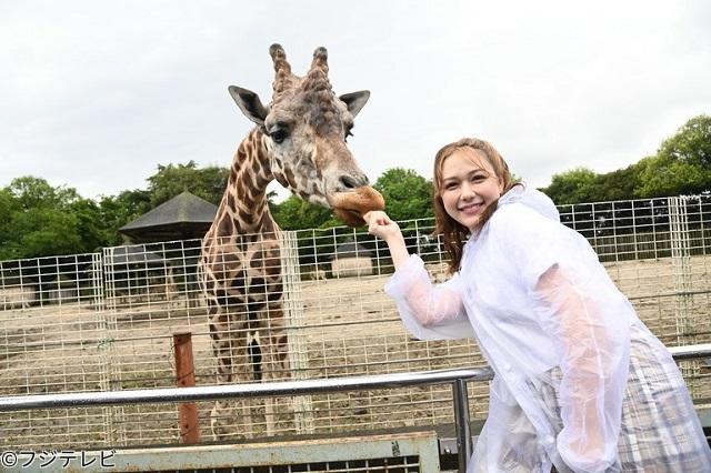 AKB48 千葉恵里、村重杏奈が「呼び出し先生タナカ」に出演！動物園 遠足SP！【2023.8.28 20:00〜 フジテレビ】