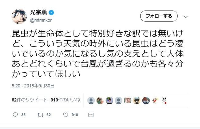 【元AKB48】光宗薫「台風とかこういう天気の時外にいる昆虫はどう凌いでいるのか気になる」