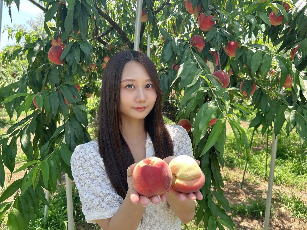 古畑奈和出演「市町村てくてく散歩」鎌ヶ谷市をてくてくお散歩【2025.8.1 18:05〜 千葉テレビ】