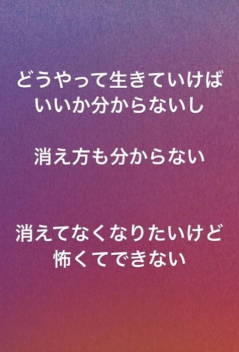 【悲報】中井りか「どうやって生きていけばいいか分からない」「消えたいけど怖い、もうつかれた」