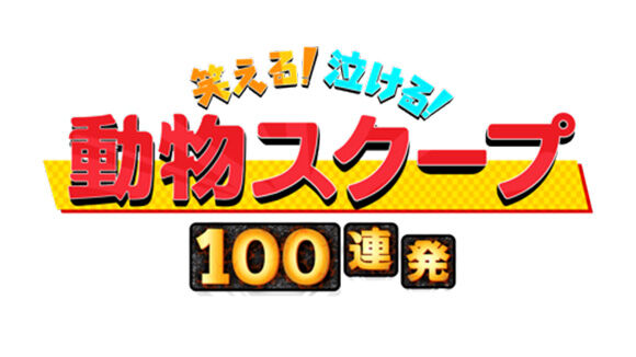 峯岸みなみが「笑える!泣ける!動物スクープ100連発」にゲスト出演!【2021.7.29 19:00〜 TBS】