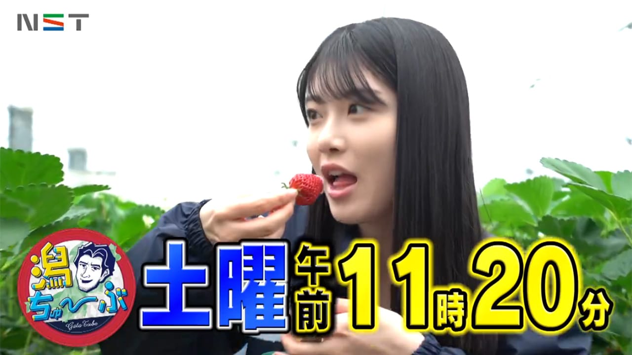 NGT48 小越春花・杉本萌が「潟ちゅーぶ」に出演！【2024.5.4 11:20〜 新潟総合テレビ】