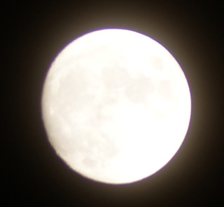 2545c4e8.jpg