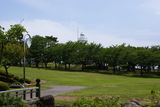 c229e990.jpg