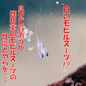 アルビノ稚魚13日目_白いMS