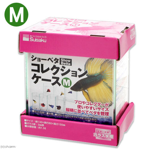 鯉ベタ繁殖法 産卵編 豹子頭bettalife 鯉ベタ繁殖法 産卵編 豹子頭bettalife