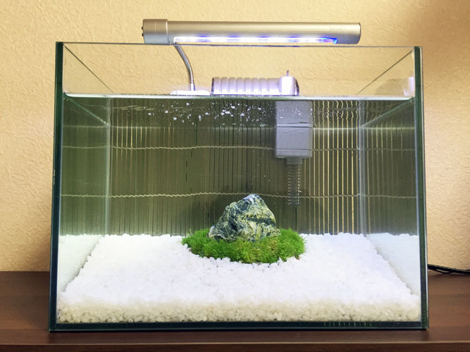 初心者でも出来る 日本庭園風 アクアリウム 完結編 豹子頭bettalife 初心者でも出来る 日本庭園風 アクアリウム 完結編 豹子頭bettalife