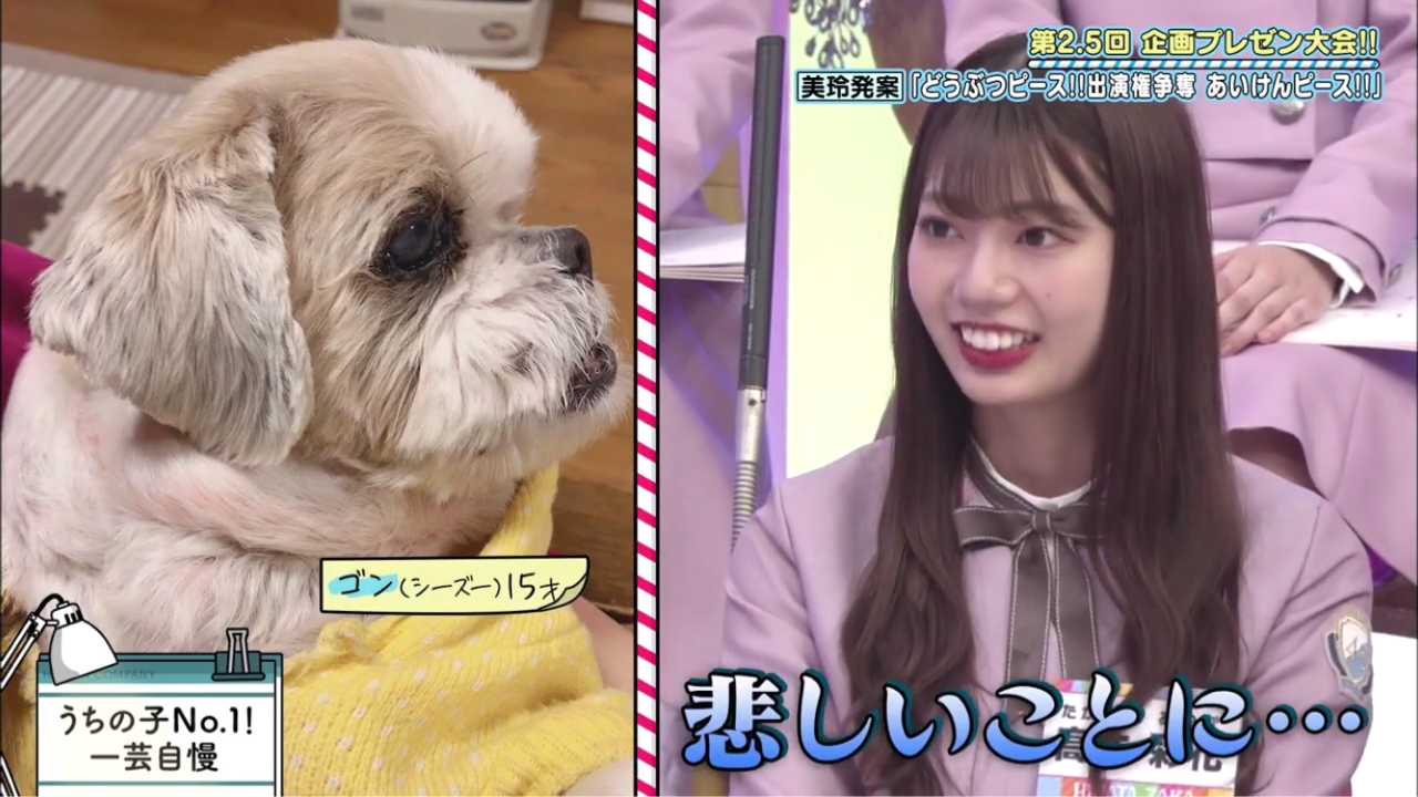 年04月15日 Candy S Rain