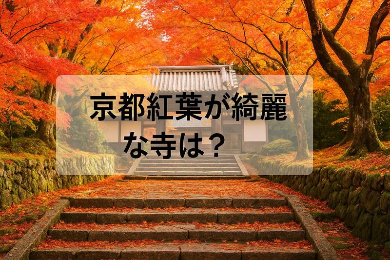 (´･ω･`)紅葉を見逃しつつある????