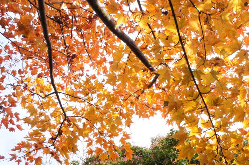 ママ友ゼロ、20年で6%から半数に急増「1人でいること悪くない」　（ヽ´ん`）俺なんか友達いた事ないぞ