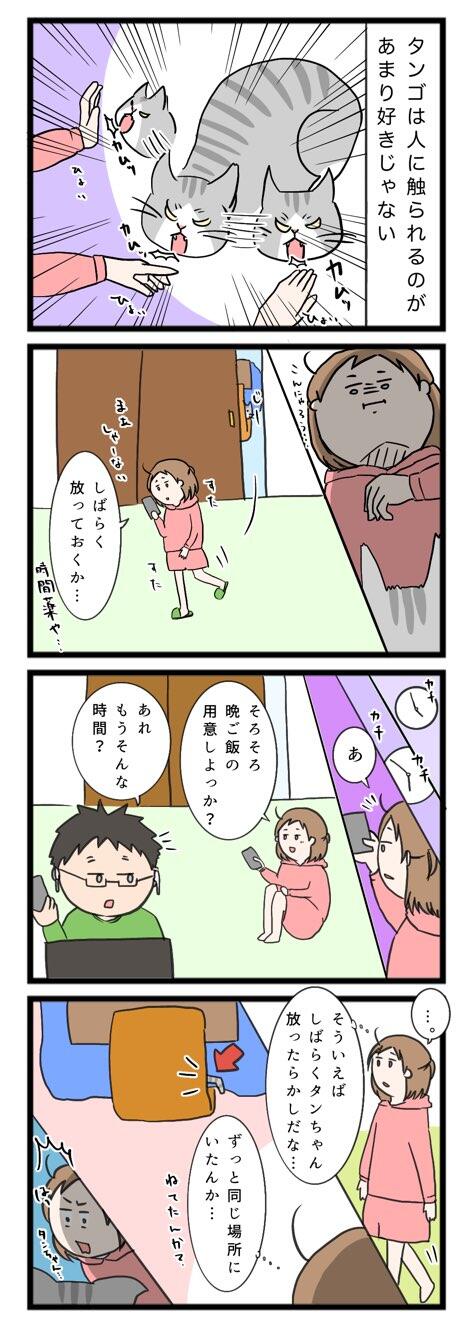 5F26DF5A-C1FA-4062-BEB1-7237BF65C3C4