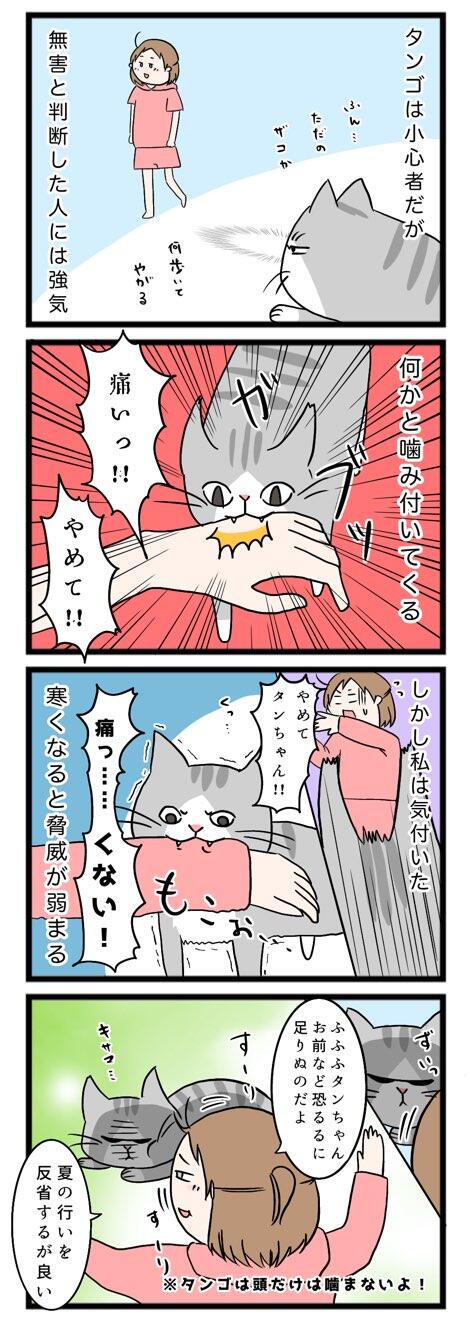 04B2E5E9-78F4-47E8-971D-6DB574418A7A