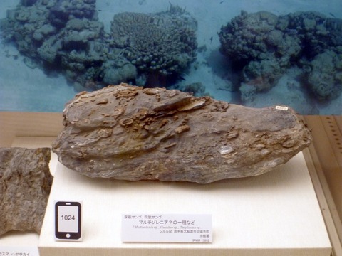 シルル紀