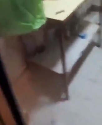 ina