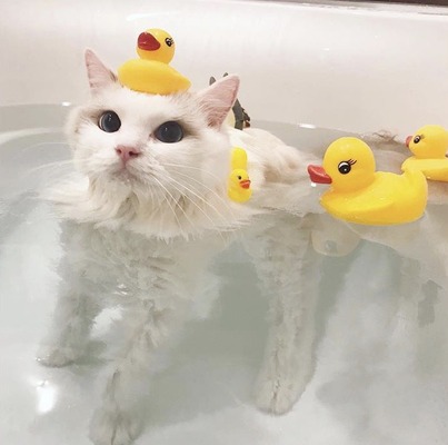 no title
