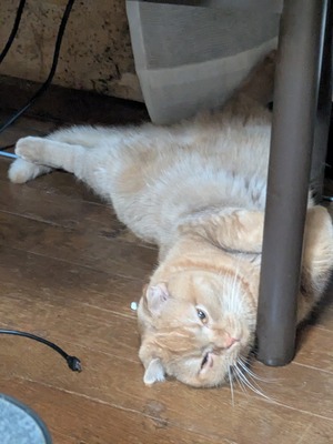 no title