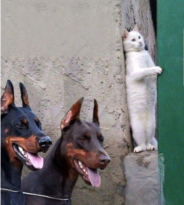 no title