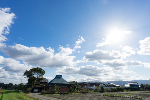 ELFADSC05618_TP_V