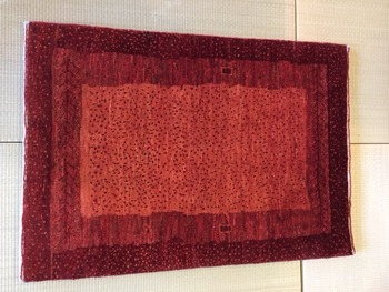 b2ff2585.jpg