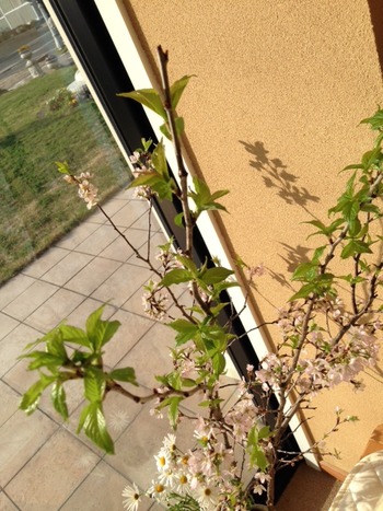 20130330