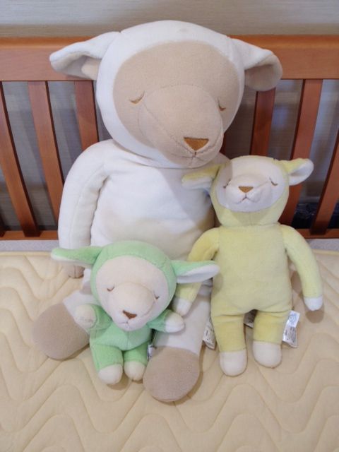 うわさのメルくん 安眠族ブログ