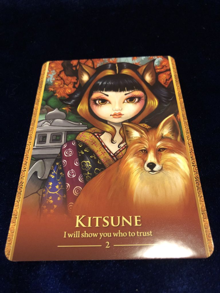 シェイプシフターの初ワンオラクル オラクルカードを生活に入れてみた 仮 シェイプシフターの初ワンオラクル オラクルカードを生活に入れてみた 仮