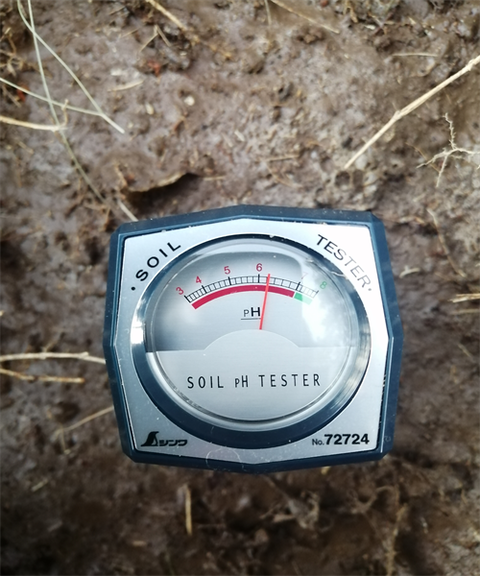 IMG_20251130_164225_R