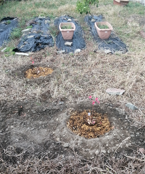 IMG_20251203_082301_R