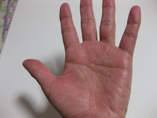 手についたペンキの落とし方 シ ズ 犬のぐだぐだ4コマ日記