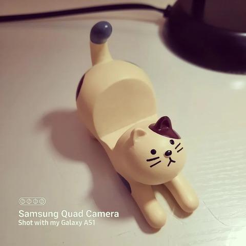 278237611_509304273936356_1829302068327053205_n