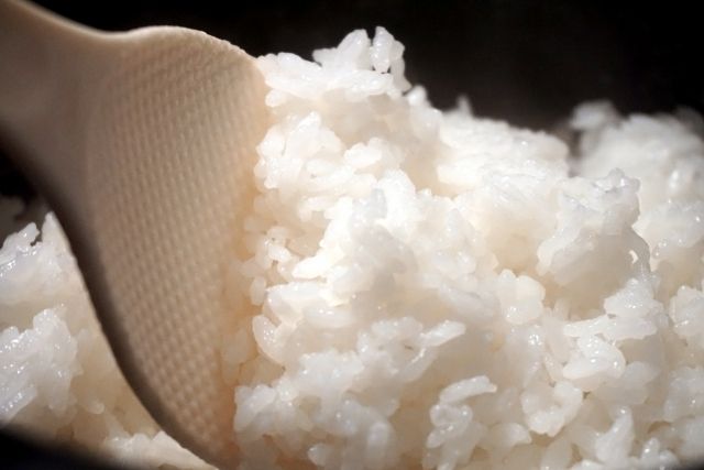 一人暮らし 炊飯器不要説 新生活準備 独身30代も楽しく暮らす アンナの雑記録 一人暮らし 炊飯器不要説 新生活準備 独身30代も楽しく暮らす アンナの雑記録