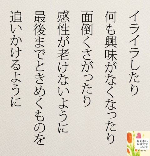 24-06-22-15-26-46-416_deco