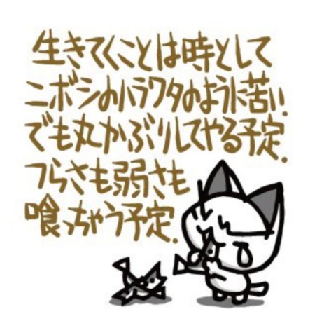 24-10-18-10-38-00-532_deco