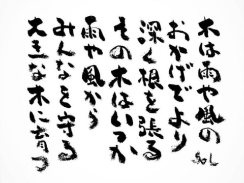 24-07-16-23-56-19-374_deco